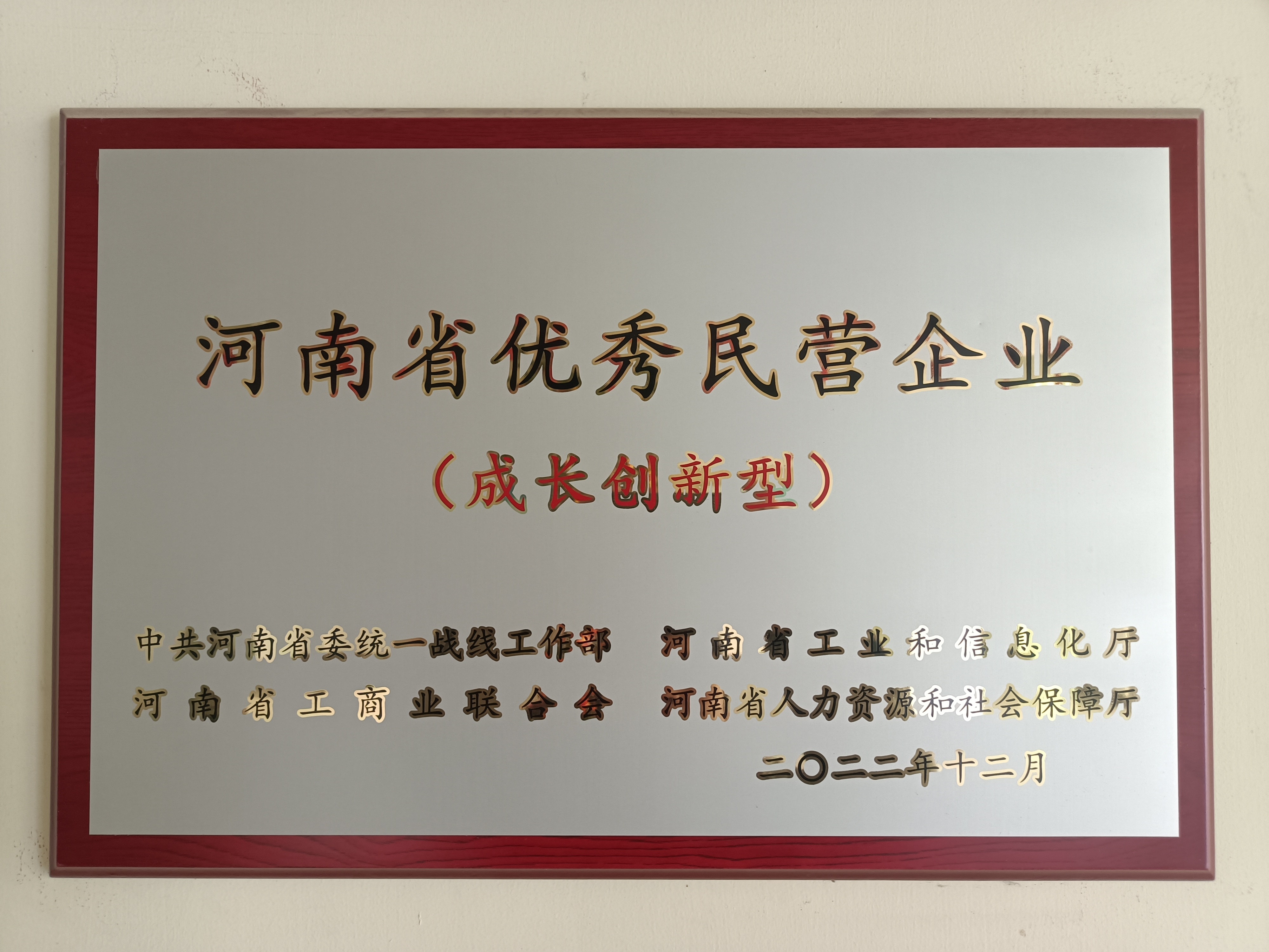 2022年河南**民營企業(yè)（成長創(chuàng)新型）